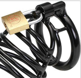 Bad Black Male Chastity Device